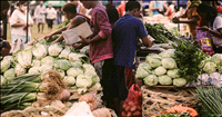 Consumer price inflation for industrial workers up at 4.98% in November