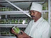 Dr N Barathi