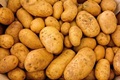 And now, PepsiCo takes farmers to court over potato IPR