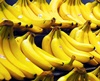 Scientists battling to save bananas from extinction in just 5-10 years