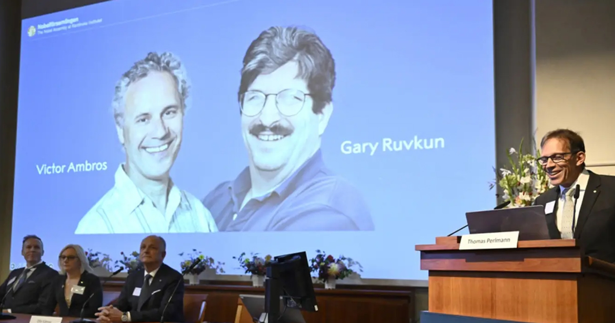 Victor Ambros and Gary Ruvkun of US win Medicine Nobel for discovery of microRNA