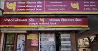 PNB raises Rs5,000 cr from institutional investors to bolster capital