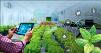 India, Australia announce Climate Smart Agritech programme for start-ups and MSMEs