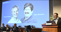 Victor Ambros and Gary Ruvkun of US win Medicine Nobel for discovery of microRNA