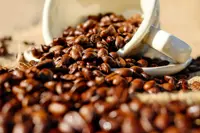 India’s coffee exports surge on global demand