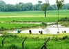 Rajya Sabha passes historic bill on land-swap with Bangladesh