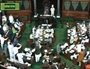 Lok Sabha passes Telangana Bill amidst pandemonium