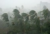 Cyclone Helen leaves two dead in Andhra; devastates crops