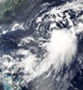Cyclonic storm Thane leaves 34 dead in Tamil Nadu