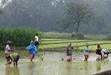 Monsoon to arrive in 48 hours: weather department
