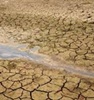 California prepares $1-bn package for drought relief