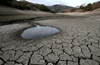 California turns to Australia for strategies to counter record drought