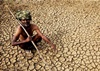 Expect more heat waves, diseases, famines, warns climate meet