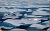 How the Arctic Ocean became saline