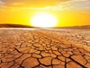 Record hot year may be the new normal by 2025