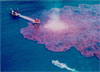 Oil spills raise arsenic levels in oceans: new research