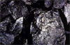 India’s coal reserves to run out in 45 years