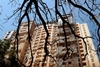 Bombay high court orders demolition of scam-tainted Adarsh building