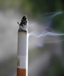 Smoking among US adults down to 17%