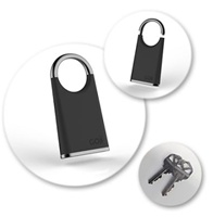 Enter Goji the smart lock