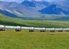 TransCanada, Progress Energy in $5-bn pipeline deal