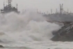 Cyclone Nilam: MAPS on high alert as cargo ship drifts ashore