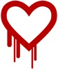 ‘Heartbleed’ bug could badly hit internet, mobile services