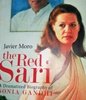 The Red Sari tells us just who Sonia Gandhi is