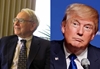 Warren Buffett to do whatever it takes to defeat Donald Trump