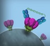 Genetically engineered antibodies show enhanced HIV-fighting abilities