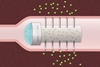 New drug-delivery capsule may replace injections