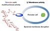 Scientists engineer antibiotics to catch up in race against drug resistance