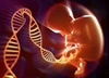 Expert group supports human gene modification research