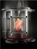 Researchers grow functional heart in lab