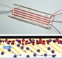 New microchip sorts white blood cells from whole blood