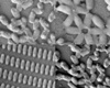 Nanoparticles, made to order — inside and out