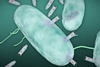 Researchers develop a new means of killing harmful bacteria