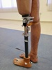 A cheaper, high-performance prosthetic knee