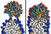 More than glitter: gold nanoparticles for drug delivery