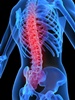 Chinese docs use stem cells for world’s first spinal cord op