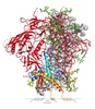 Researchers capture images of the elusive protein HIV uses to infect cells