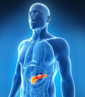 Researchers slow pancreatic cancer growth and spread by blocking key enzyme