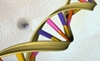 Yale team finds fossil DNA not dead in human genome