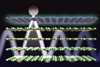 Controlling light emission could lead to high-resolution imaging devices