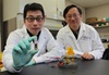 Eco-friendly, energy-dense sugar battery developed to power the world's gadgets