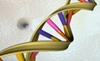 Only 8.2% of our DNA is ‘functional’