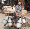 Saving rural India’s “liquid cash”