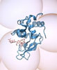 High-performance simulation, neutrons uncover three classes of protein motion