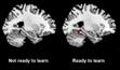 Ready to learn? Brain scans can tell you