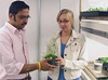 Oh, brother: plants can recognise their siblings